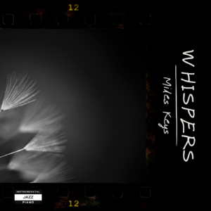 A close-up of delicate dandelion seeds against a dark background, symbolizing softness and quiet beauty.